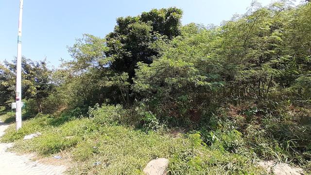 Achimota Forest